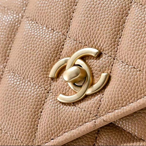 2026131222425936 560